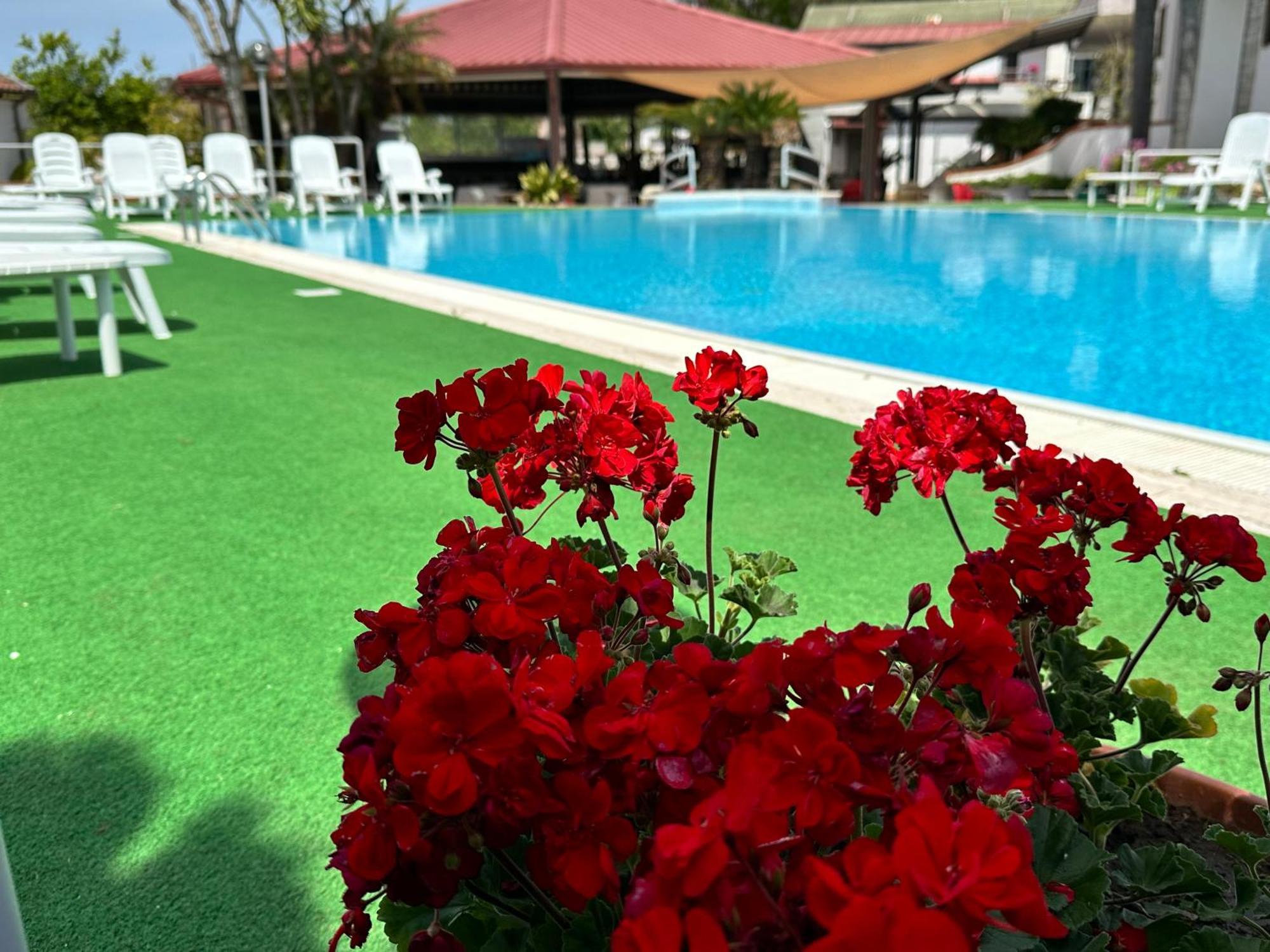 Hotel B&B Marina 卡帕乔-帕埃斯图姆 外观 照片