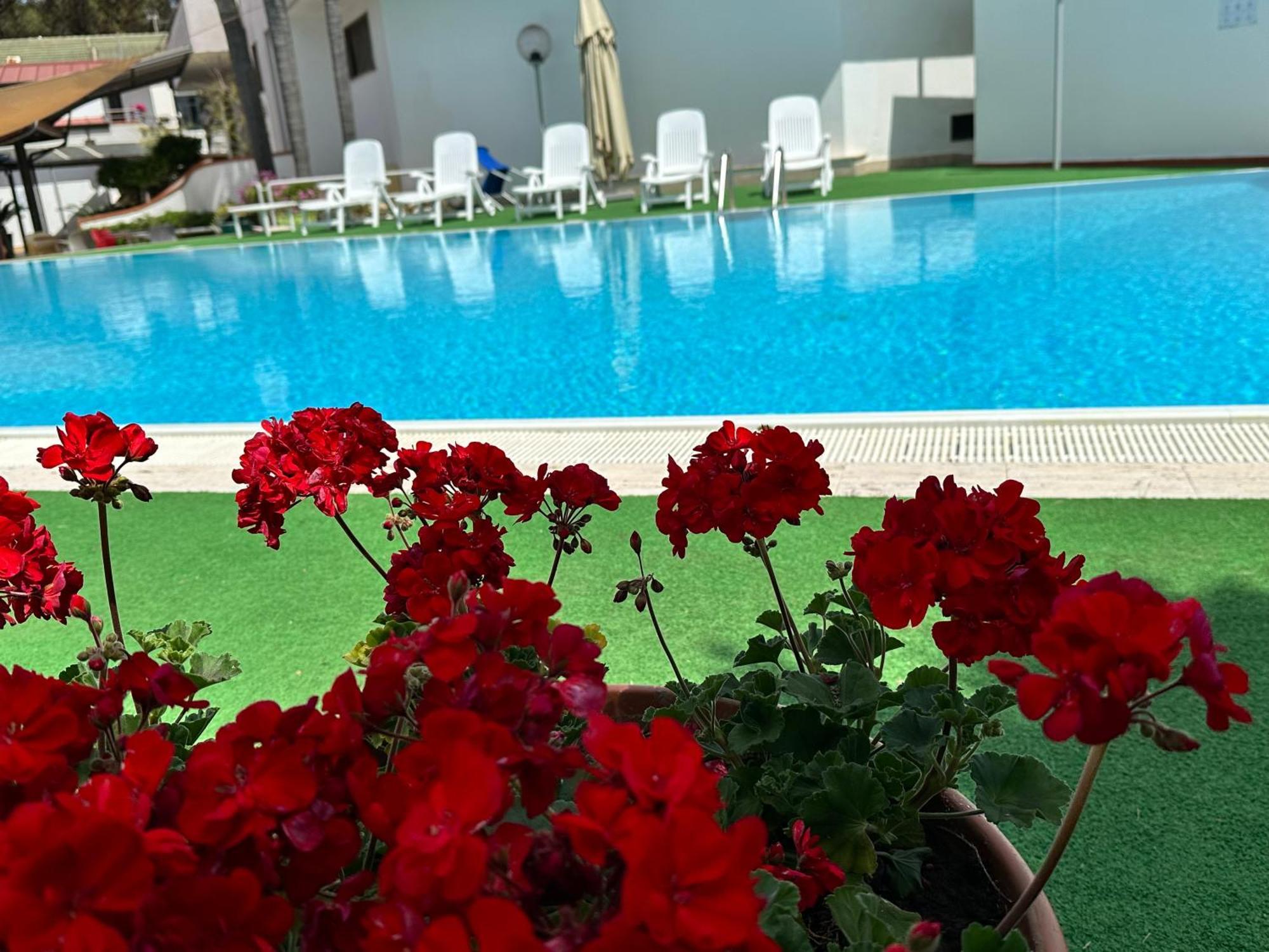 Hotel B&B Marina 卡帕乔-帕埃斯图姆 外观 照片